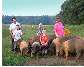 Pature Raised Hogs