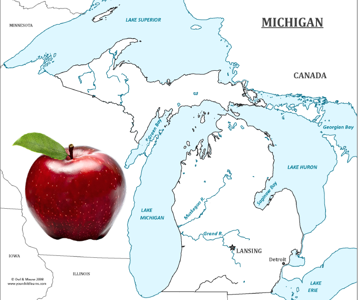 Michigan Apples