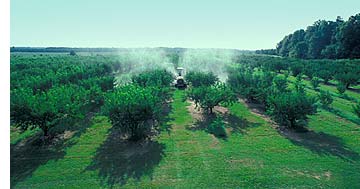 Georgia Peach Spraying