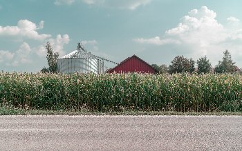 Putting the Farm Bill to Work for Michigan Apple Growers