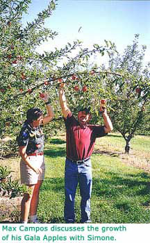 Max Campos discusses the growth of his Gala Apples with Simone