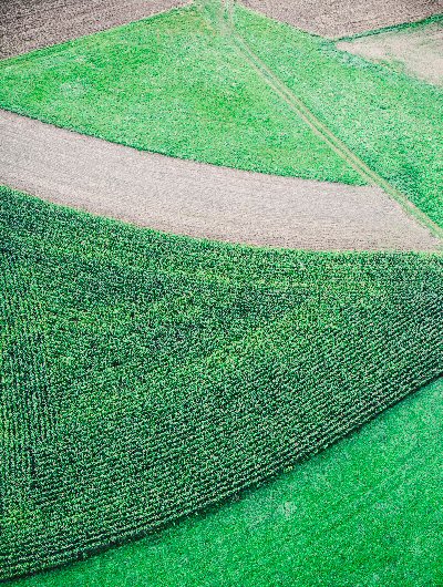 Rolling Fields