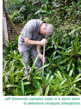 Analyzing mosquito infestations in drains