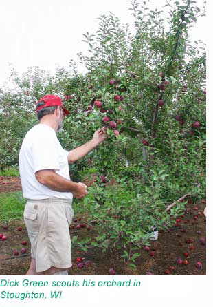 Scouting apple orchards in Wisconsin