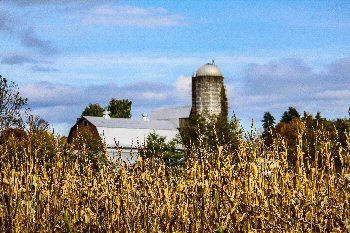 Michigan Farm