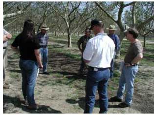 Consultation regarding California's Walnuts